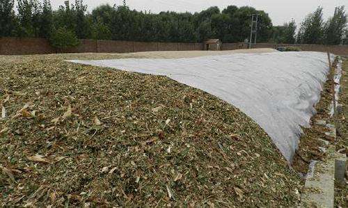 關(guān)注丨珠穆朗瑪峰成了一座“垃圾峰”？